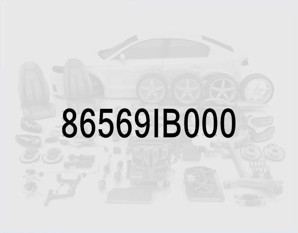 Bumper Lower Molding