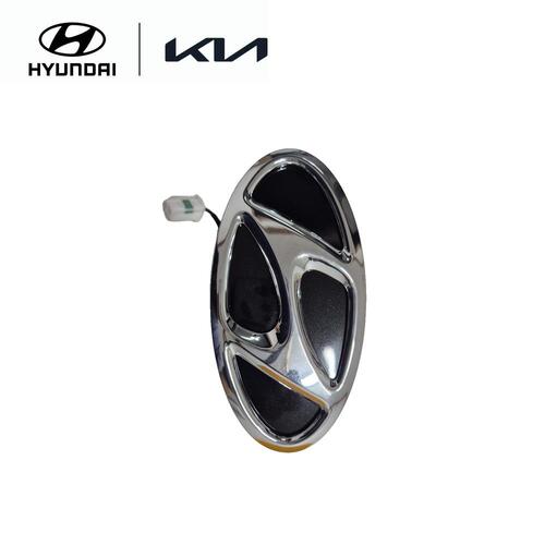 Trunk Lid Outside Handle & Lock