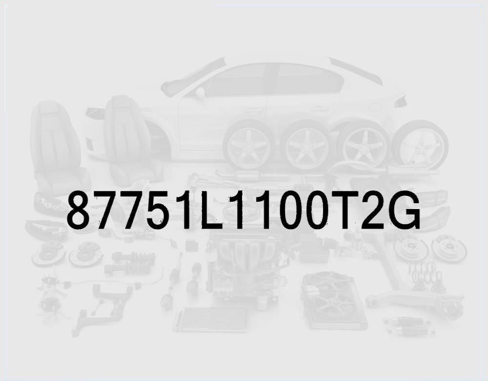Driver Side Sill Molding (Side Skirt), Nocturne Gray