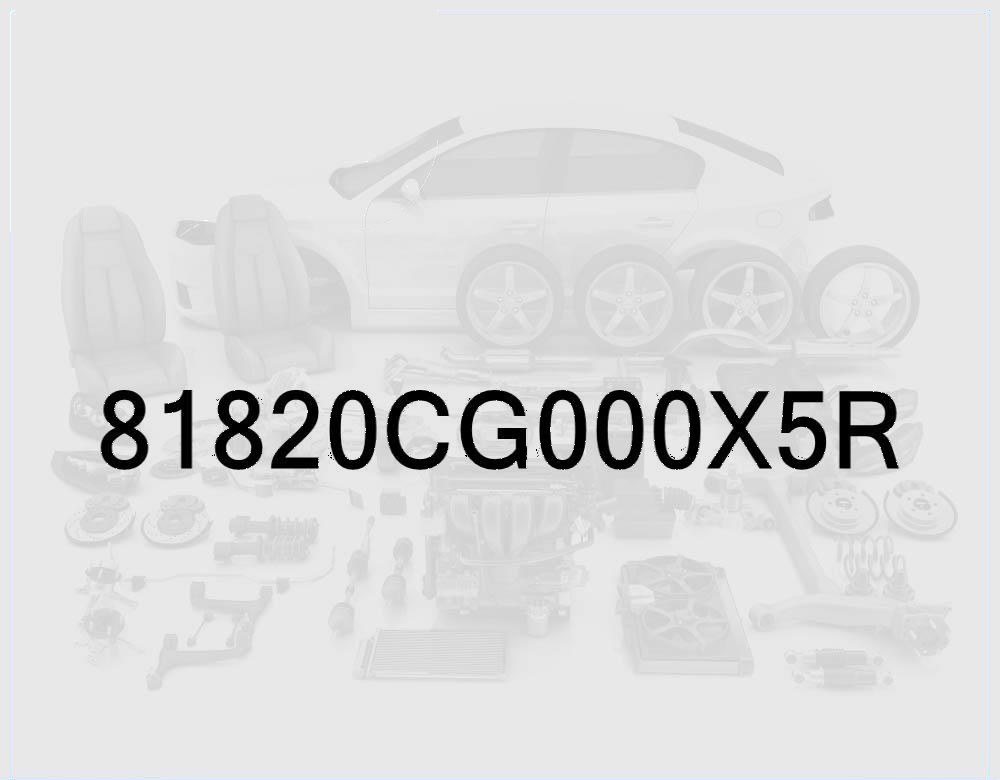 Trunk Lid Outer Handle & Lock
