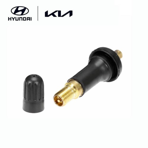 Шток датчика TPMS