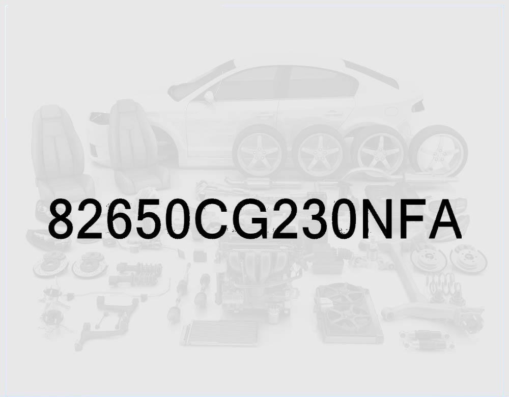 Outer Door Handle, Driver Side