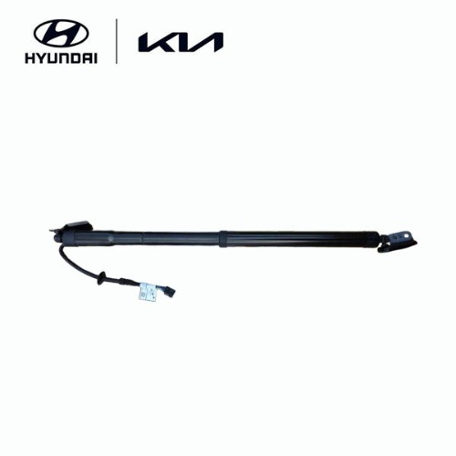Power Tailgate Lifter, Left