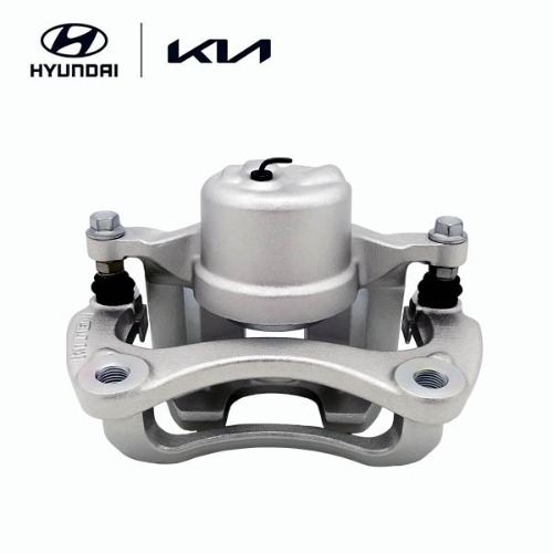 Front Brake Caliper Kit, Left