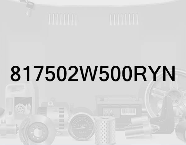 Tailgate Trim Panel