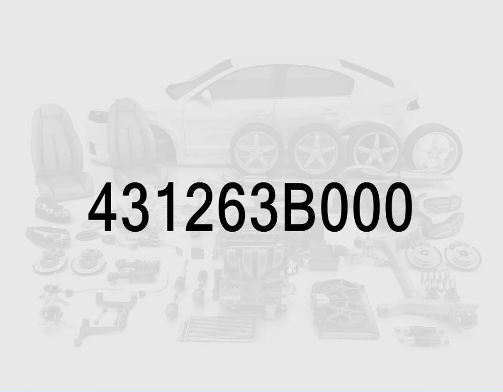 Oil Seal