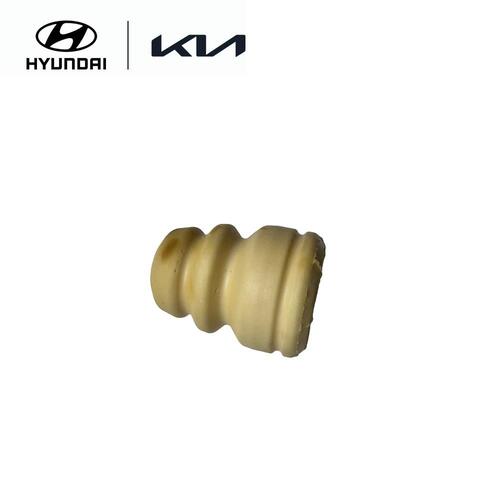Rear Bumper Spring
