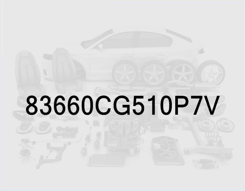 Passenger Side Rear Door Outside Handle