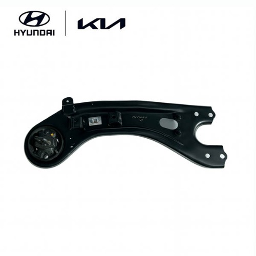 Rear Trailing Arm, Left