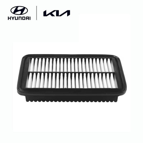 The New Santa Fe TM Air Cleaner (2020-)