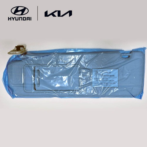 Driver's Side Sun Visor